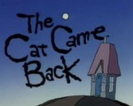 The Cat came back